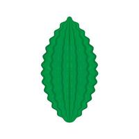 Bitter gourd . Bitter gourd on white background. vector