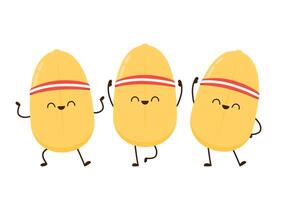 Rice character design. rice on white background. Paddy . vector