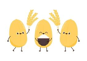 Rice character design. rice on white background. Paddy . vector