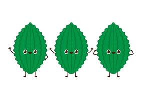 Bitter gourd . Bitter gourd on white background. vector