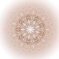 Circular pattern in form of decorative mandala design vector