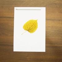 Notebook and pencil on a beautiful background in a large photo studio