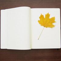 Notebook and pencil on a beautiful background in a large photo studio