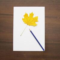 Notebook and pencil on a beautiful background in a large photo studio