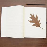 Notebook and pencil on a beautiful background in a large photo studio