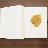 Notebook and pencil on a beautiful background in a large photo studio