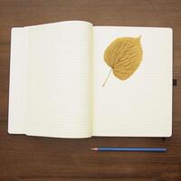 Notebook and pencil on a beautiful background in a large photo studio