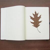 Notebook and pencil on a beautiful background in a large photo studio