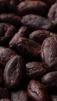 avvicinamento di arrostito cacao fagioli semi struttura sfondo, torrefazione cacao fagioli seme, macro cacao, Marrone cacao cioccolato pennini video