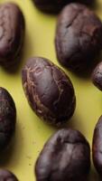 avvicinamento di arrostito cacao fagioli semi struttura sfondo, torrefazione cacao fagioli seme, macro cacao, Marrone cacao cioccolato pennini video