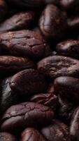 Closeup of brown roasted cocoa bean seeds pattern texture background, cocoa nibs, macro cocoa bean seeds video