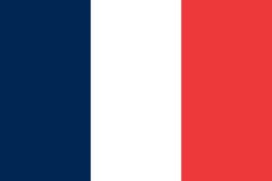 Flag of France with real colors vector