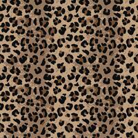 Abstract camouflage Leopard animal skin texture seamless pattern vector