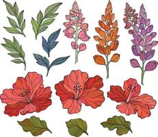 Set with lupins, hibiscus and leaves. floral pattern with green leaves and lupines flowers. vector