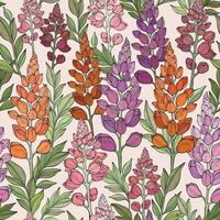 Seamless pattern with lupin flowers and leaves. vector