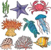 summer underwater set. Various shell, algae, turtle, crab, crayfish, jellyfish shell coral starfish anemone vector