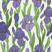 Seamless pattern with iris flowers. Spring floral print, decorative botanical background with hand drawn plants. vector
