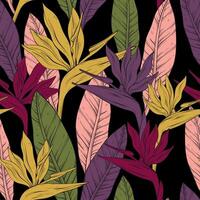 Seamless pattern with bright bird of paradise flowers and leaves of Strelitzia Reginae on black background. vector