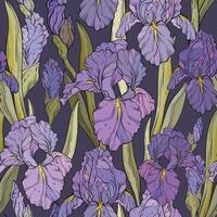 Seamless pattern with iris flowers and leaves, dark background. Spring floral print, decorative botanical background with hand drawn plants. vector