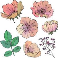 Hand drawn flowers. set of design elements for fabric, textile, wallpaper prints vector