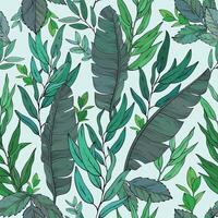Seamless pattern with Hand drawn green plants and eucalyptus. vector