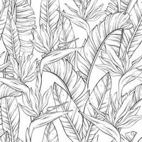 Seamless outline pattern with tropical bird of paradise flowers and leaves of Strelitzia Reginae. vector