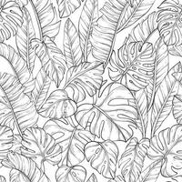 Seamless pattern with outline leafs of monstera vector