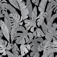 Seamless pattern with black monochrome leafs of monstera vector