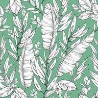 Botanical seamless pattern, hand drawn line art banana and eucalyptus leaves on green background. vector
