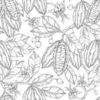 Seamless outline pattern of cocoa leaves, flowers and fruits of cocoa beans. vector