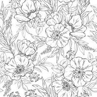 Seamless outline pattern with Hand drawn flowers and eucalyptus on white background. vector