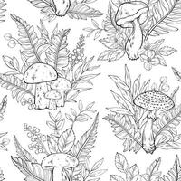 outline pattern with different types of mushrooms, flowers and berries, ferns vector