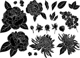 Set of silhouettes of roses, peonies, asters vector