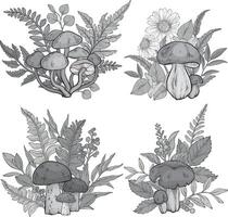Set of different types of mushrooms, grass and berries, ferns. monochrome illustration vector