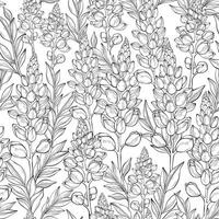 Seamless pattern with outline lupin flowers and leaves. floral pattern with leaves and lupines flowers. vector
