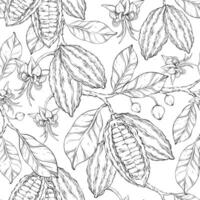 Cocoa outline seamless pattern. vector