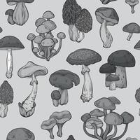 Seamless pattern with black monochrome mushrooms vector