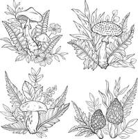 Outline Set of different types of mushrooms, grass and berries, ferns. vector
