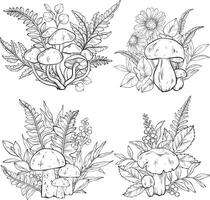 Outline Set of different types of mushrooms, flowers and berries, ferns. vector