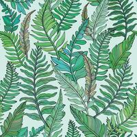 Seamless pattern of wild forest ferns vector