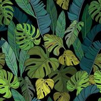 Seamless pattern with Green leafs of monstera on black background vector
