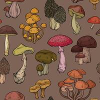 Seamless pattern with different mushrooms on brown background, graphic drawing, cut truffle, porcini mushroom, shiitake and chanterelles vector