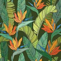 Seamless pattern with tropical bird of paradise flowers and leaves of Strelitzia Reginae on dark background vector