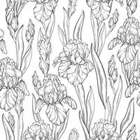 Seamless Black and white pattern with iris flowers and leaves. Spring floral print, decorative botanical background with hand drawn plants. vector