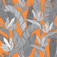 Seamless monochrome pattern with tropical bird of paradise flowers and leaves of Strelitzia Reginae on orange background. Hand drawn vector
