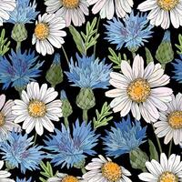 Seamless pattern with cornflowers and daisies. Wild flowers design. vector
