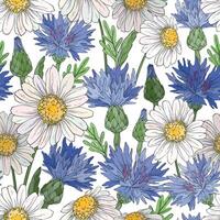 Seamless pattern with cornflowers and daisies. Wild flowers design. vector