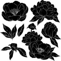 Set of silhouette of peony flowers. vector