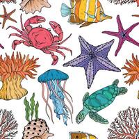 Seamless summer underwater pattern. Various shell, algae, turtle, crab, crayfish, jellyfish, shell, coral starfish anemone on white background vector