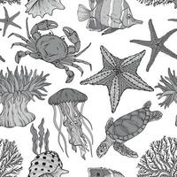 Seamless monochrome summer underwater pattern. Various shell, algae, turtle, crab, crayfish, jellyfish, shell coral starfish anemone vector